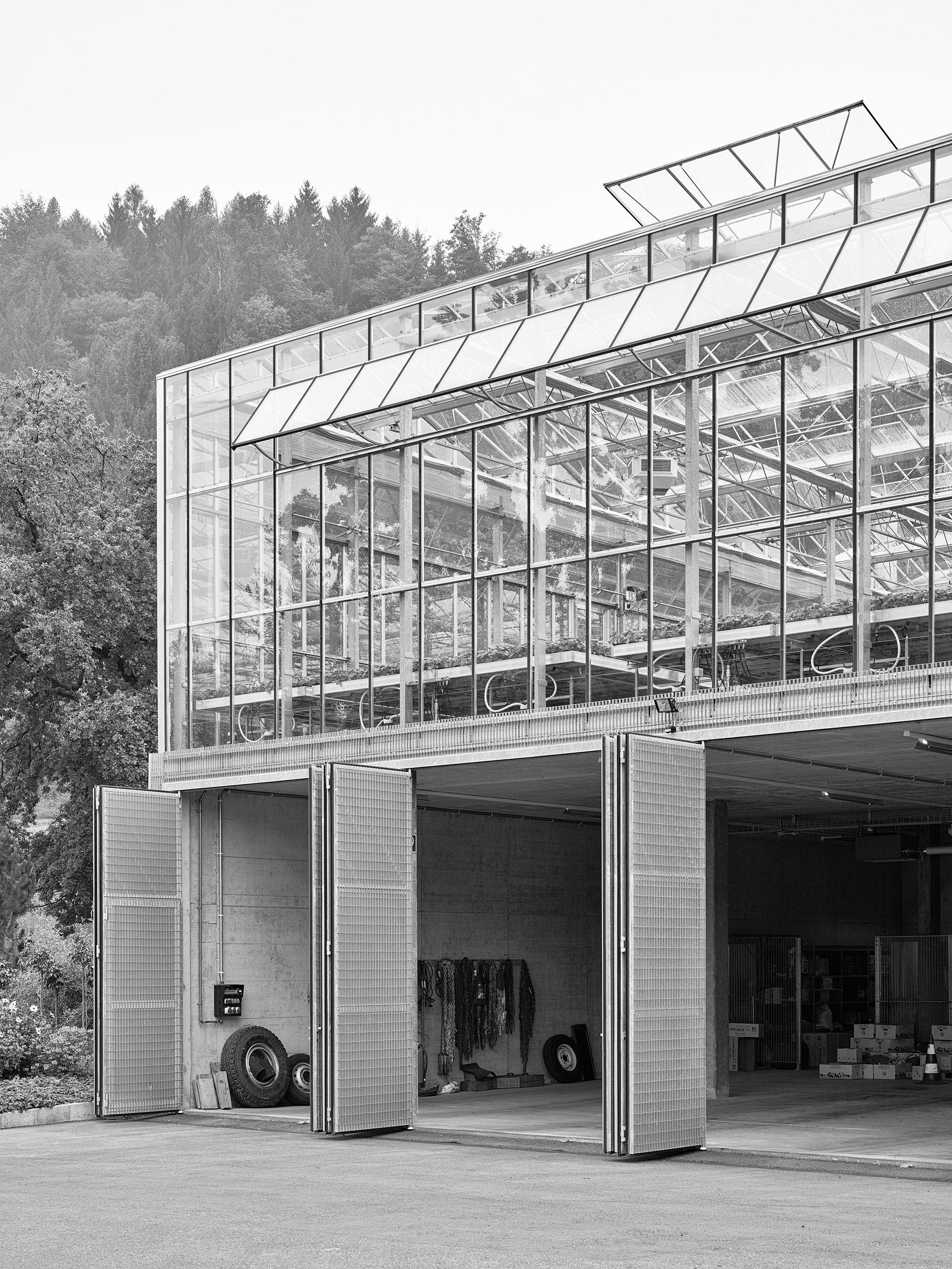 E11350 029949 BW j2560